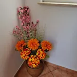 Apartamento Katarina