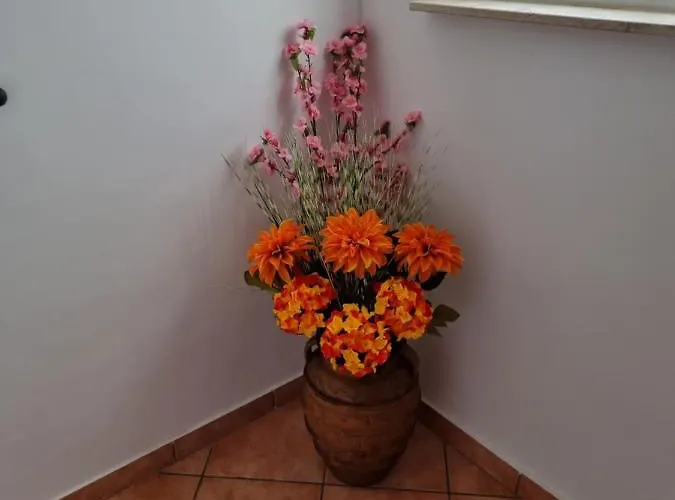 Apartment Katarina Smrika